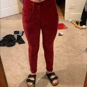 Velvet universal thread jeans